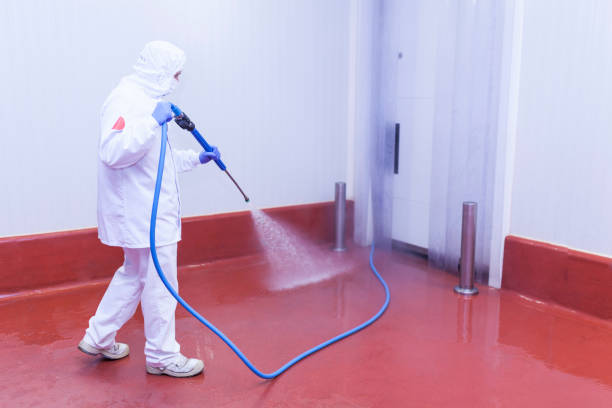 Best Restaurant Pressure Washing  in Whitewright, TX